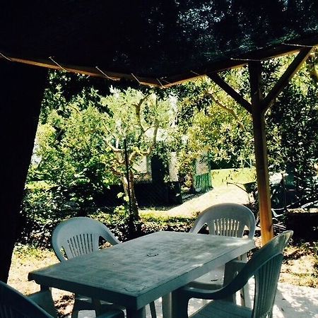 Agriturismo La Mora Ассізі Екстер'єр фото